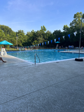 Swim Team Interest Registration